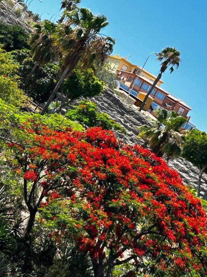 Villa Natali ,Luxury 3-Levels Large Villa On Tenerife, Ocean View, Private Poo L& Barbecue Area アデヘ エクステリア 写真