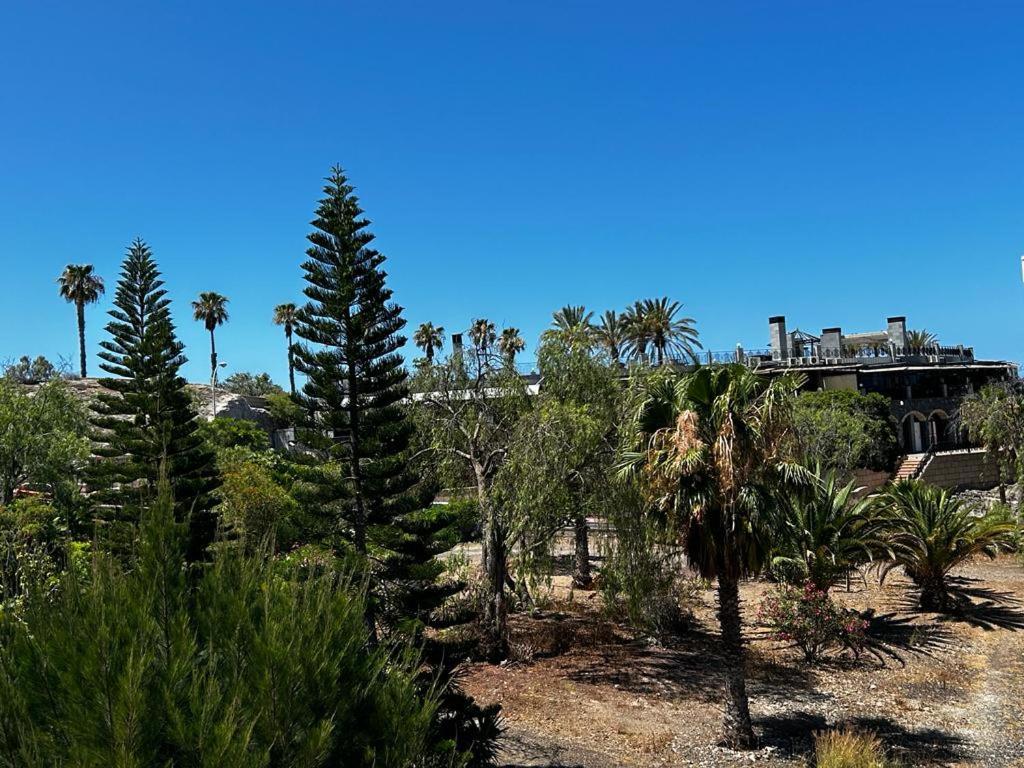 Villa Natali ,Luxury 3-Levels Large Villa On Tenerife, Ocean View, Private Poo L& Barbecue Area アデヘ エクステリア 写真